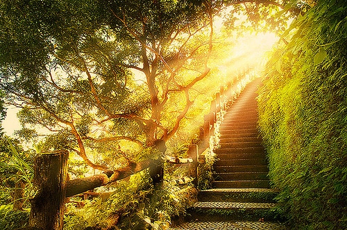 Caminhos da Espiritualidade – Uma Jornada Interior